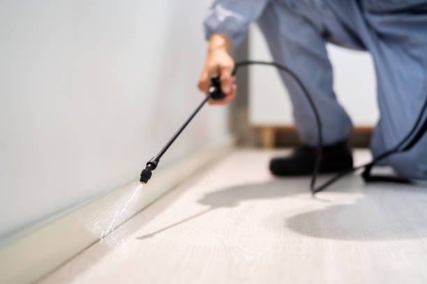 Professional exterminator conducting IPM assessment in Kennesaw State University