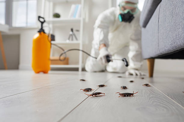 Commercial Rodent Management in Kennesaw State University